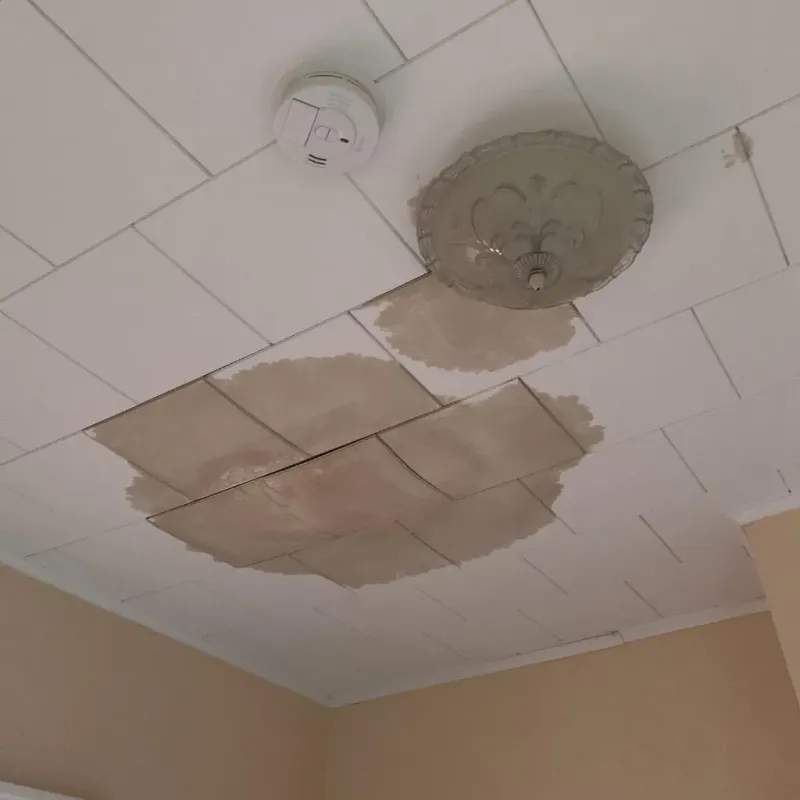 Ceiling Water Damage Repair in Stutsman County, ND