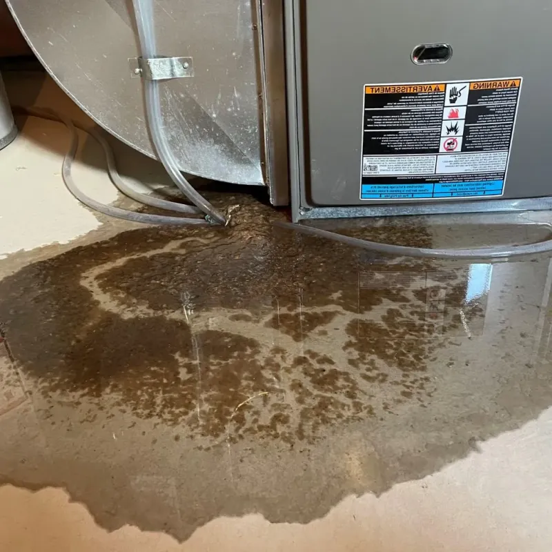 Pipe Burst and Leak Restoration in Stutsman County, ND