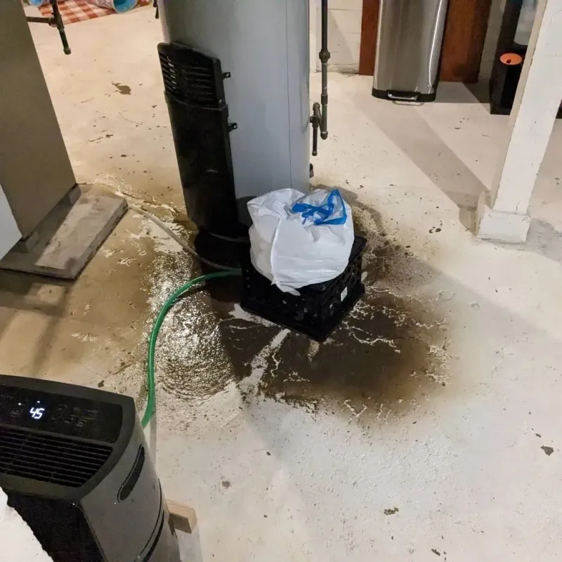 Sewage Backup Cleanup Service in Stutsman County, ND